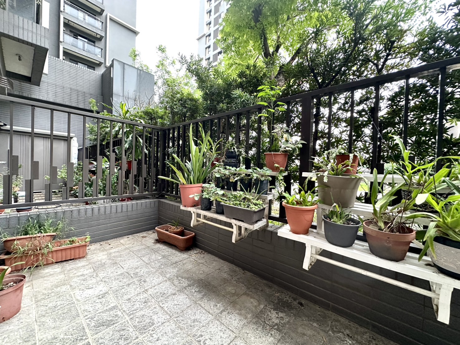 鴻築新願一樓庭園戶 庭院